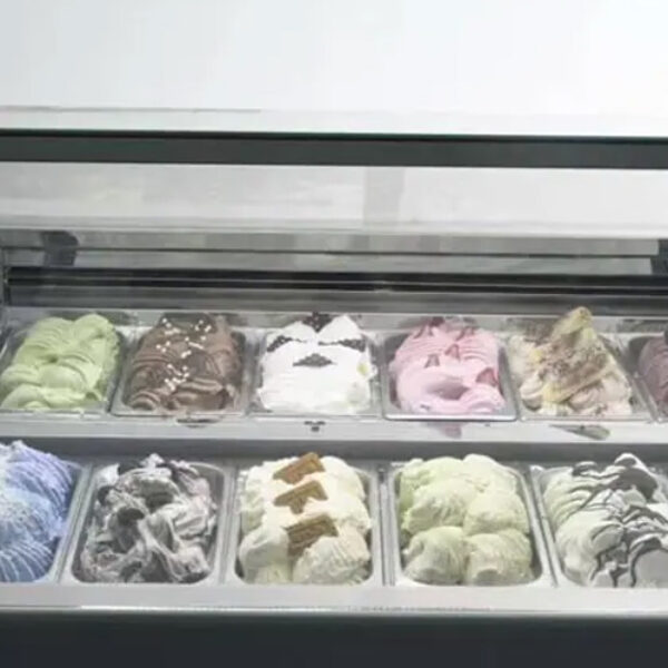 Perfetto Ice Cream Freezer 12 (1290*1174*1200)